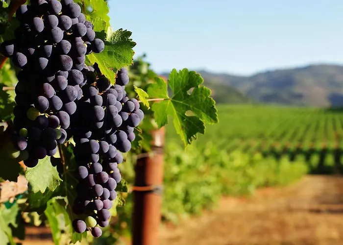 Апартаменты Maybe The View In Portugal! Jacuzzi - Gym - Game *